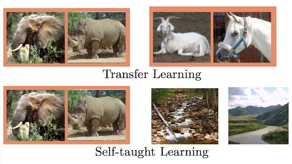 Transfer Learning and Self-taught Learning examples