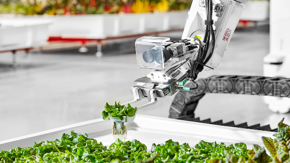 Robot-powered indoor farming
