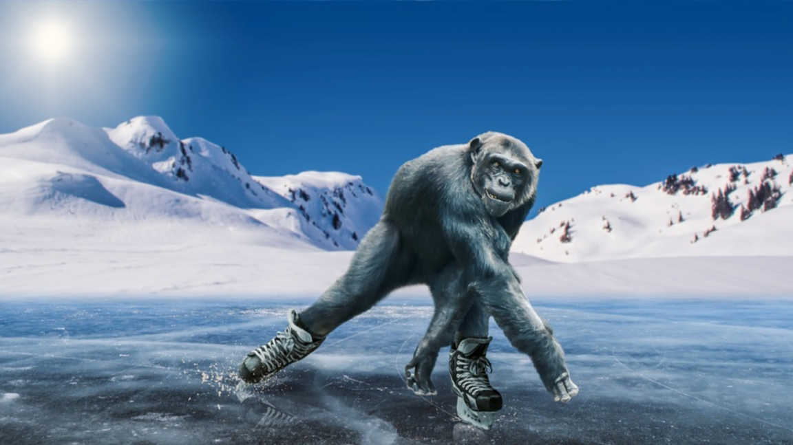 Ape roller skating on an ice rink