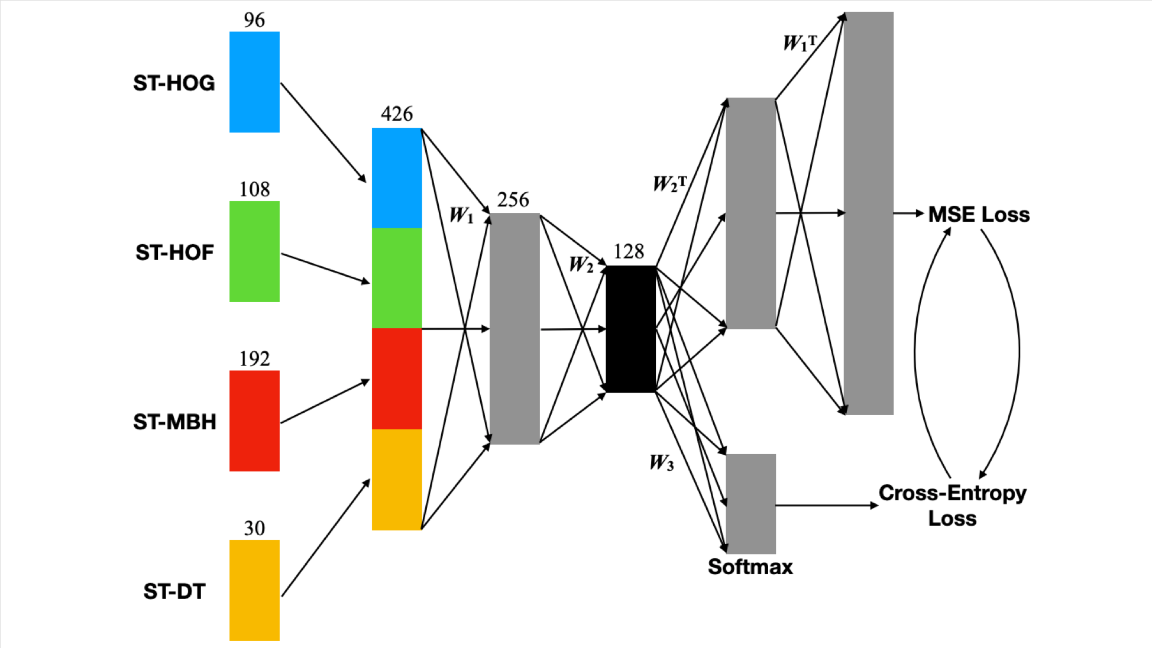 LSFNet for the fusion of spatiotemporal descriptors