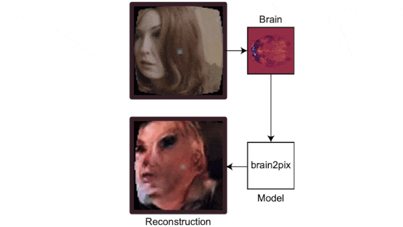 Images generated by a network designed to visualize what goes on in peoples’ brains while they watch Doctor Who