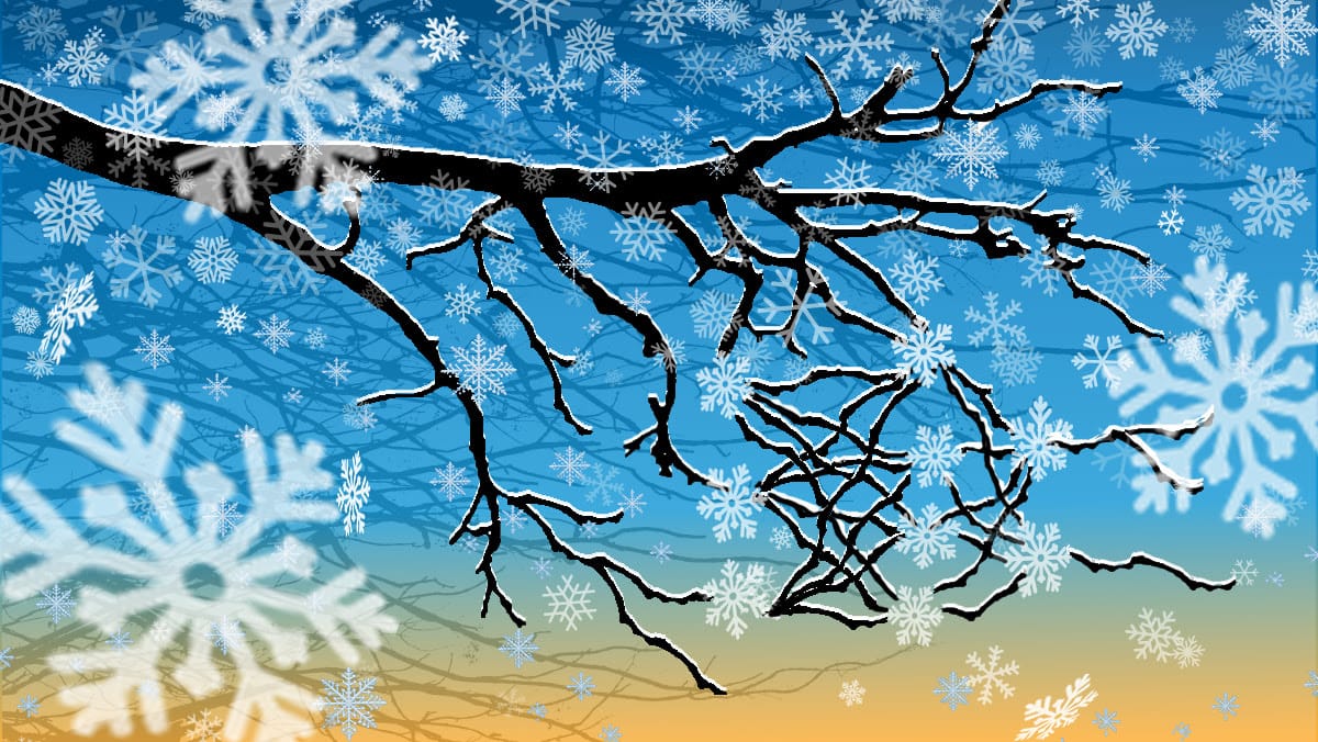 Snow-covered tree branches with intricate snowflakes.